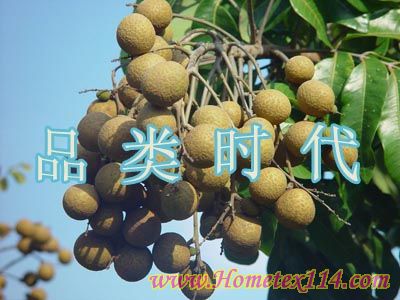 [�uՓ]�̼�Ո���M(j��n)Ʒ��Ʒ�(l��i)����r(sh��)��