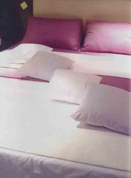 ��������ߏ����A�L(f��ng)Մ