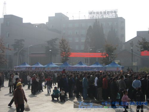 ���R����ϵ���� �����ʺ�