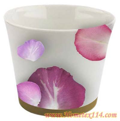 �����һ��t�����Ĳ;�������