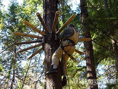 ������˼��(chu��ng  )�����w�Ƅ�(d��ng)����