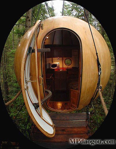 ������˼��(chu��ng  )�����w�Ƅ�(d��ng)����