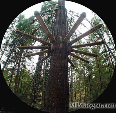 ������˼��(chu��ng  )�����w�Ƅ�(d��ng)����