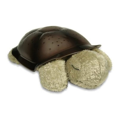 ����ɐ�(��i)�İl(f��)�������