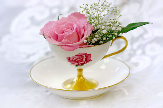 ���ɲ;ߣ��������������