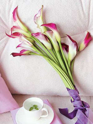 �Ҿ���Ʒ�b�c(di��n)���˹�������