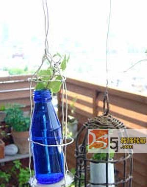 ���fů��֮�ú��L(f��ng)������С��