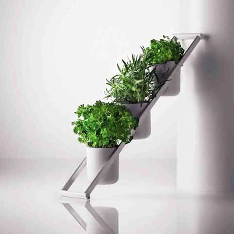 ϣ��ŹֹŹ�ϣ��