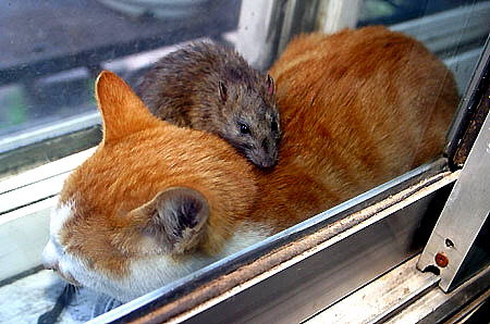 ��(chu��ng  )�I(y��)�ؿ�ʮ��(j��ng)��Ҫ�E