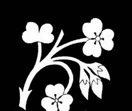 DIY�Ҿ��Ʒ��Ⱦ����Շ�