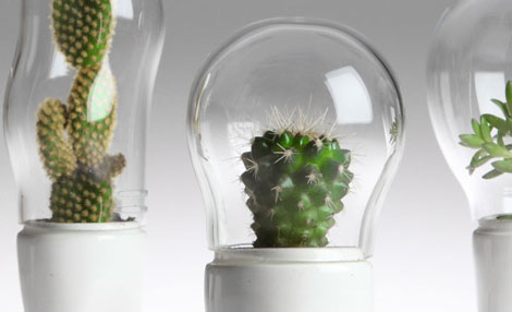 ������Ц����ѝ�ӵ�����