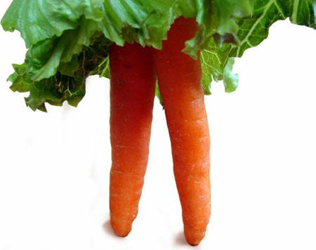 ��Ц�����_(k��i)�_(k��i)���Đ���ˮ��