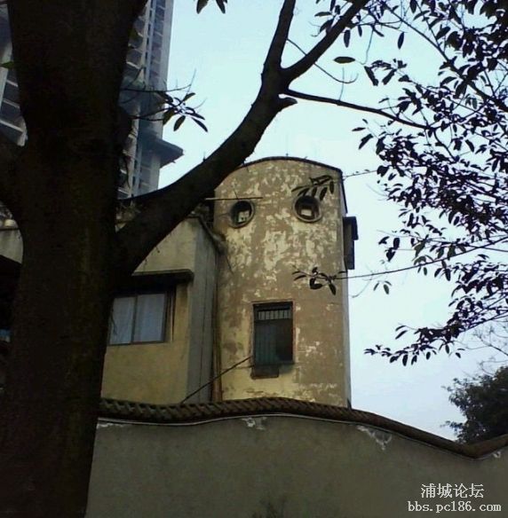 �W(w��ng)�ѱ������˵ġ��塱�Ƿ�