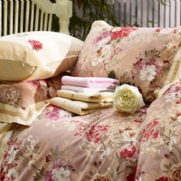 �z¶���㣨�S��