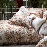 ������(m��ng)