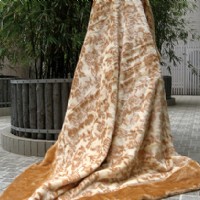 ë̺���Ứ��