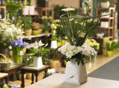 �����Ļ�ƿ��(chu��ng  )�������{