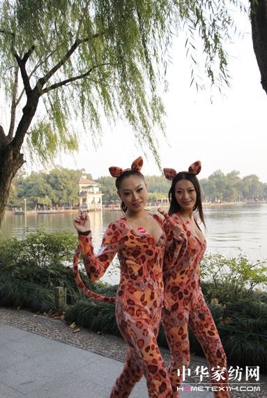 ��Ů�ɸ��{�F�����ƾS����Ʒ