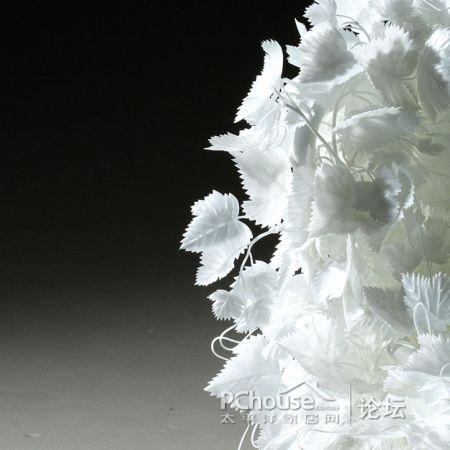 ���׵Ę�(sh��)�~�����Є�(chu��ng  )�⵫�ܹª�