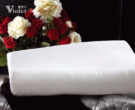 ���_�m���üҼ��x�����Ҫ