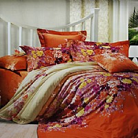 ��(��i)���z���ۣ���FMMM001-4��