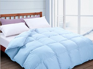 ��q��Ҳ�������B�