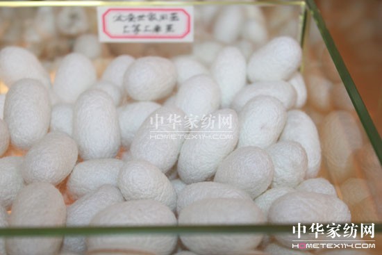 ���Q���Һ���ֱ�I(y��ng)��A���_(k��i)�I(y��)