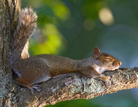 �H�������˯һС�r(sh��)����