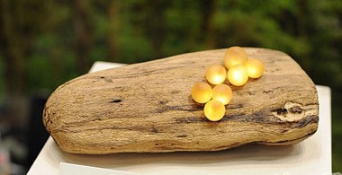 ��(chu��ng  )��LED����(sh��)���ϵ�СĢ��