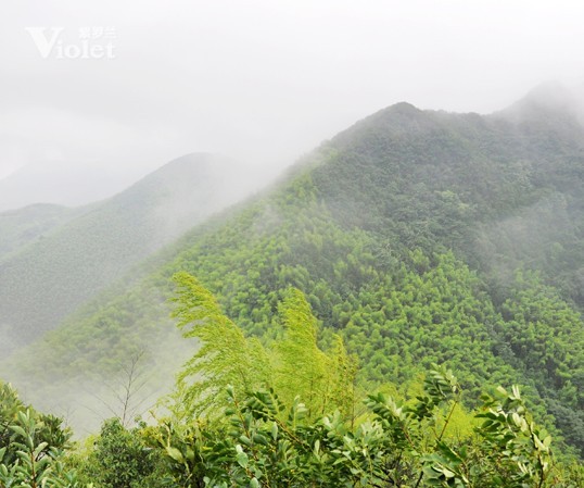 ���_�m�Ј�(ch��ng)����ɽ��չ����(xi��)�����ŗ��ĈF꠾���