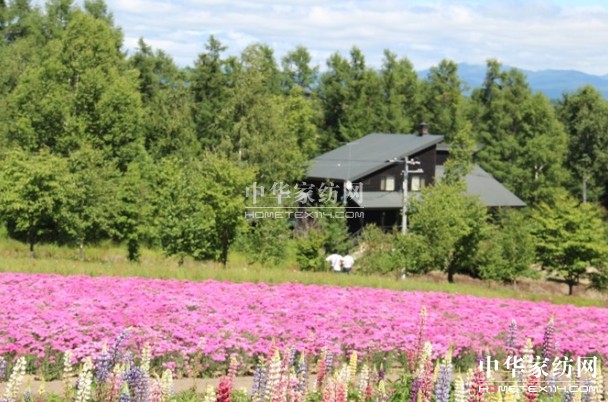 ����Ҽ���푡���(��i)�ڲ��������ϱ����������(d��ng)������