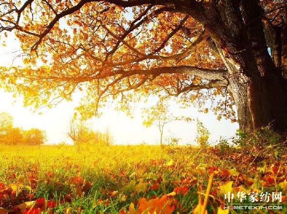 2012�ﶬ��Ʒ��