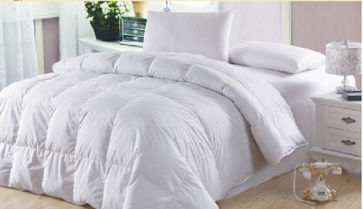 �Ҽ����B��(j��ng) ��q���ɱ��B