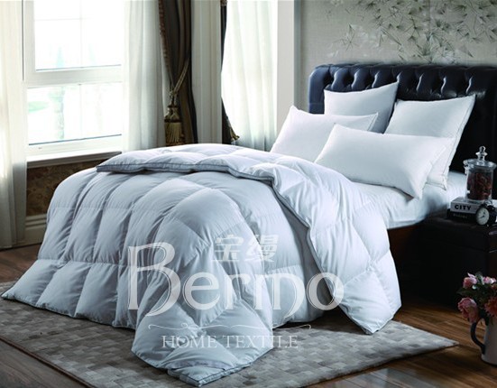 ���z�Ҽ�����¶���㡱��������