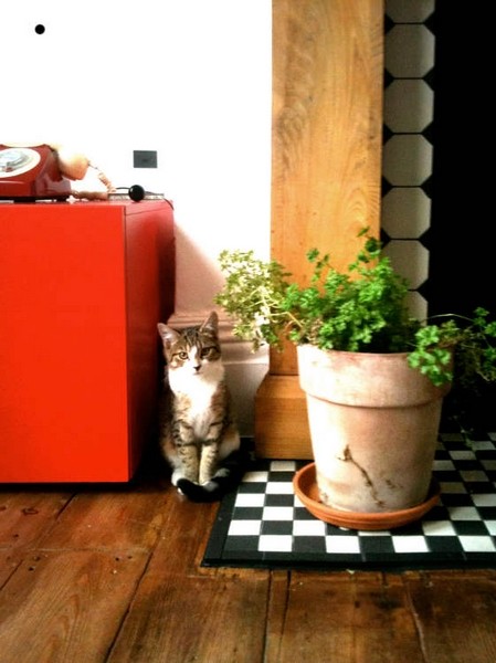 MaddalenaCannarsa��ů�����ļ�