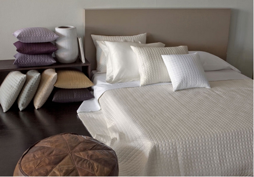 �����Signoria��׌�|����������