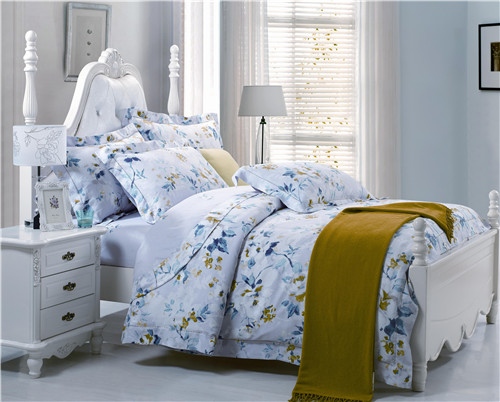 ���Ő�(��i)��ʥ���R