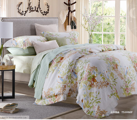 ҹ�������w���������