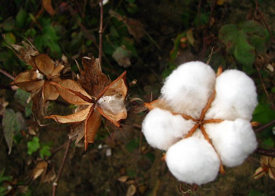 ���Ұl(f��)��2014���޻�Ŀ�˃r(ji��)��