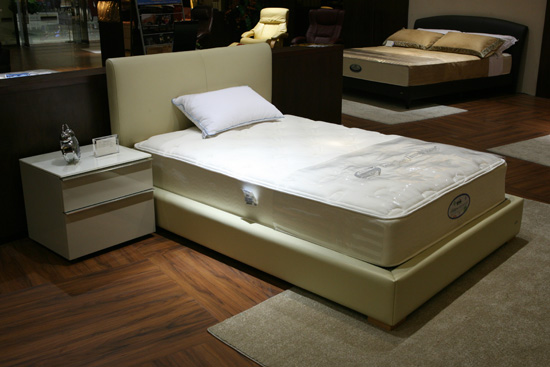 ��֪�����l(shu��)�l(f��)����ϯ��(m��ng)˼����