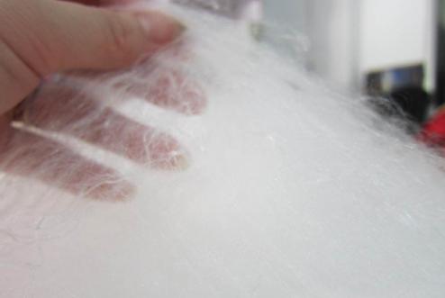 �L(ch��ng)���|(zh��)���O�y������Q�z���˳ɲ��ϸ�