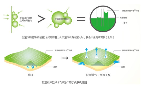 �{Ʒ����R���w�S����ˬ˯�߲��ǉ�(m��ng)��