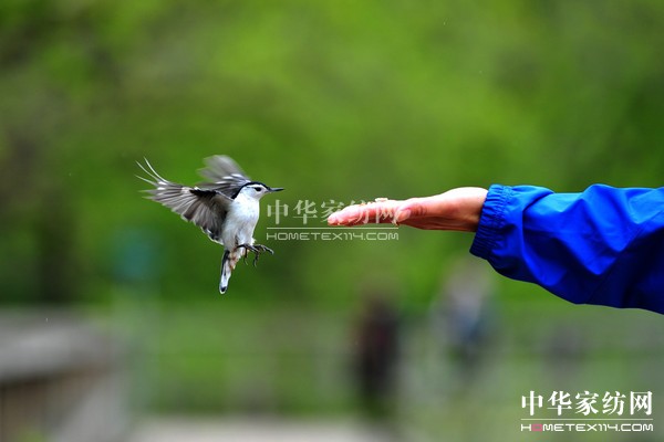 ��ُ��Ϋ@��͵����θ���