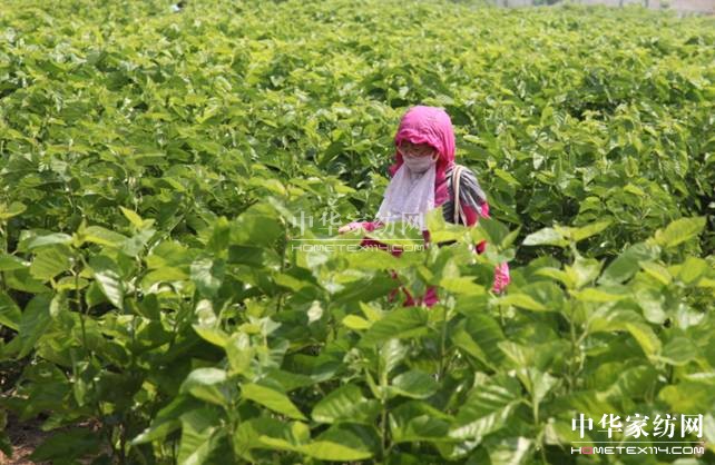 ���ýz�I�׌�ɣ�ز�ժ�������ء���ϲ��