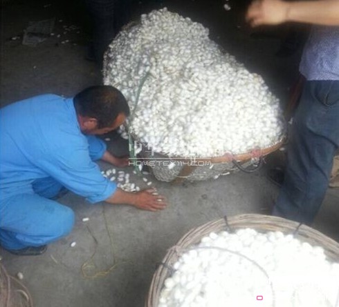 ͩ�l�����d�ȵ��_(k��i)ʼ��ُ���괺�O