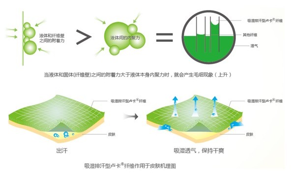 �ļ���Ʒ�o�B����ϴ��߀����