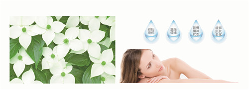 �{�׷���R���w�S���������z�y����ȫ�ɿ�