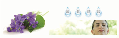 �{�׷���R���w�S���������z�y����ȫ�ɿ�