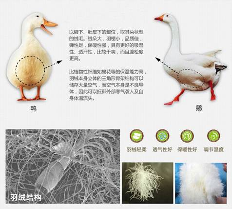 �W�ɼҼ����������u(m��i)�������xُ��Ʒ����q��