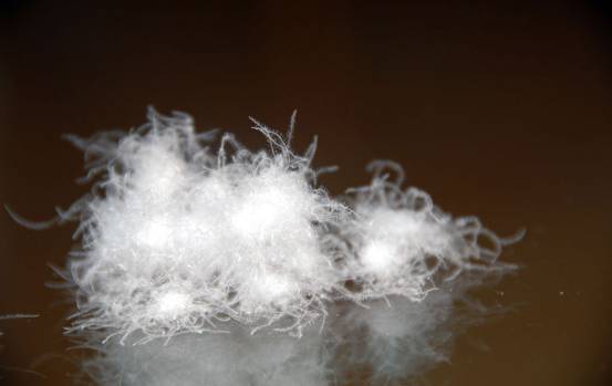 �W�ɼҼ����������u(m��i)�������xُ��Ʒ����q��